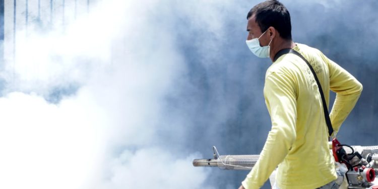 8 casos de dengue en San Miguelito