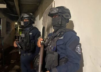 Estamentos de seguridad desarticulan organización dedicada al narcotráfico