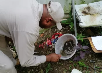 Minsa reporta 789 casos de Dengue y 915 de Malaria en todo el territorio