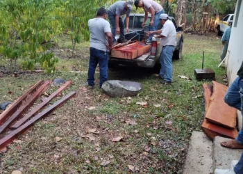 MiAMBIENTE decomisa madera de tala ilegal en Veraguas