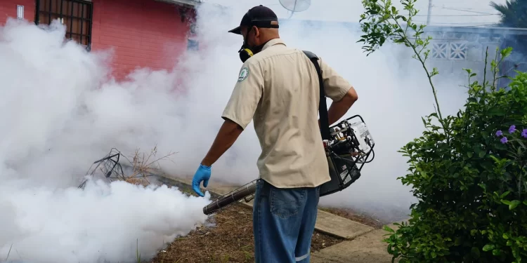 Minsa continúa con acciones masivas para luchar contra el Dengue