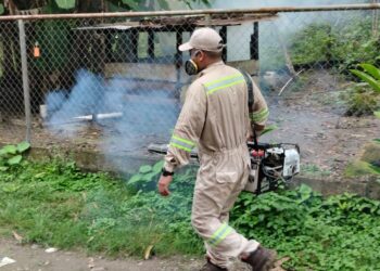 Viruela Símica queda inactiva en Panamá