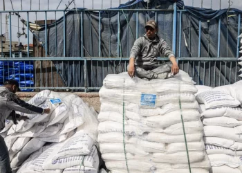 Israel ya no expide visados a trabajadores humanitarios en Cisjordania y Gaza